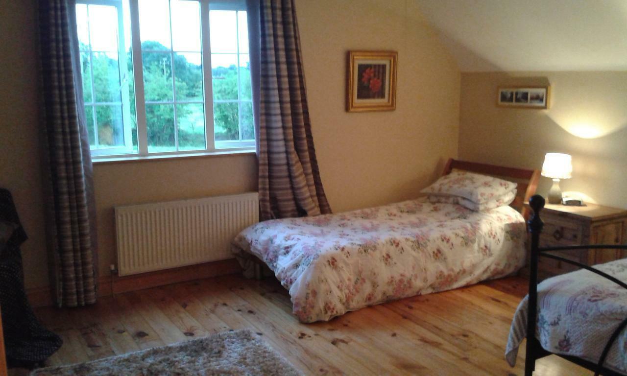 Bed and Breakfast White Swan Sherlockstown Экстерьер фото